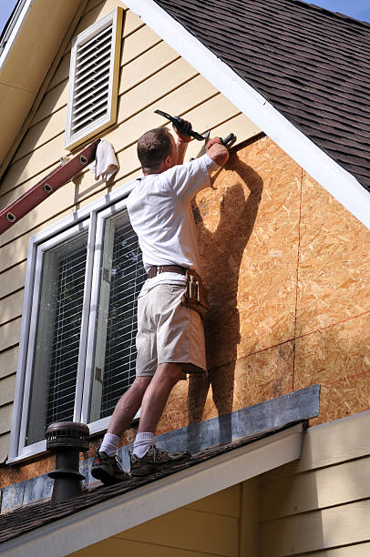 Best Shed Removal  in , CA